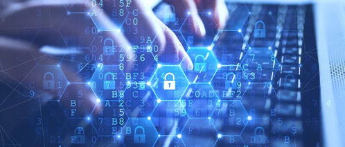 网络技术服务市场的规模与机遇